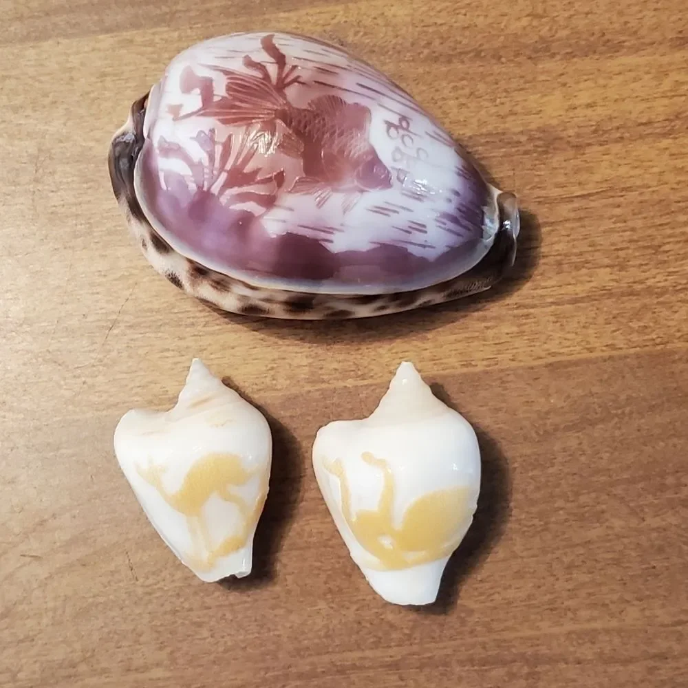 Set of 3 Vtg Hand Carved Tiger Cowrie Shells Souvenir Beach Fish, Deer & Swans